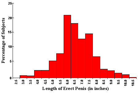 normal male penis size graph